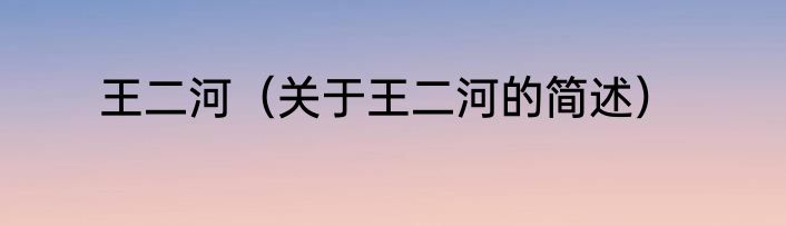 王二河（关于王二河的简述）
