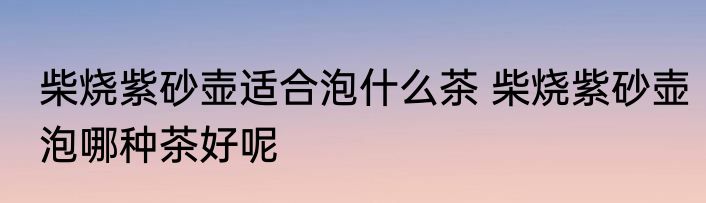 柴烧紫砂壶适合泡什么茶 柴烧紫砂壶泡哪种茶好呢