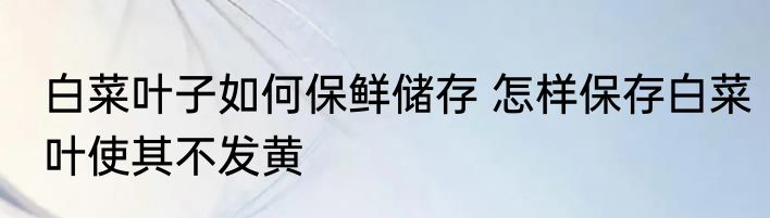 白菜叶子如何保鲜储存 怎样保存白菜叶使其不发黄