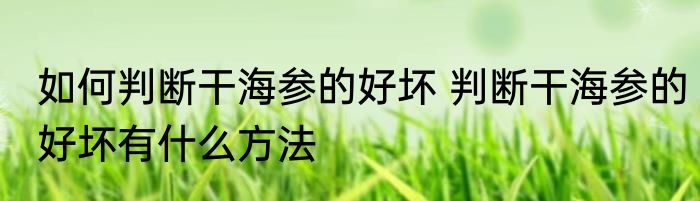 如何判断干海参的好坏 判断干海参的好坏有什么方法