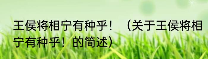 王侯将相宁有种乎！（关于王侯将相宁有种乎！的简述）
