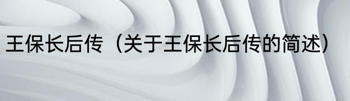 王保长后传（关于王保长后传的简述）