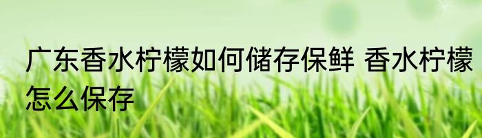 广东香水柠檬如何储存保鲜 香水柠檬怎么保存