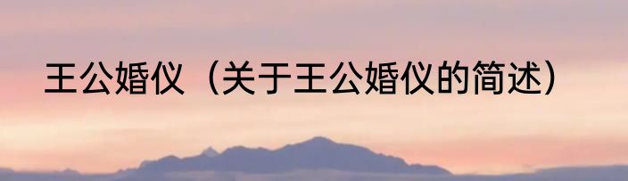 王公婚仪（关于王公婚仪的简述）