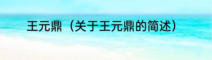 王元鼎（关于王元鼎的简述）