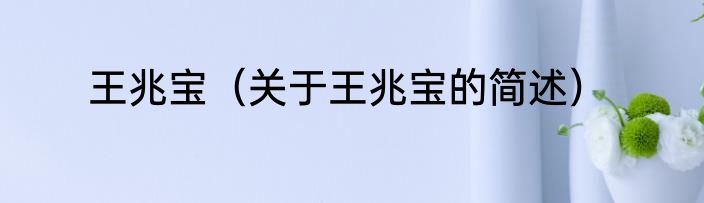 王兆宝（关于王兆宝的简述）