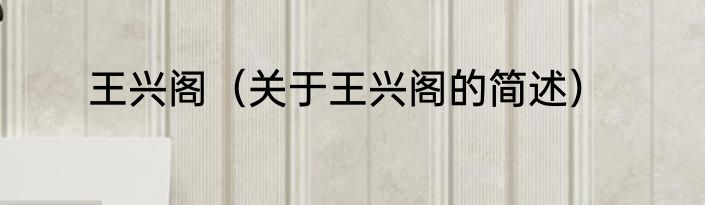 王兴阁（关于王兴阁的简述）