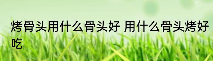 烤骨头用什么骨头好 用什么骨头烤好吃