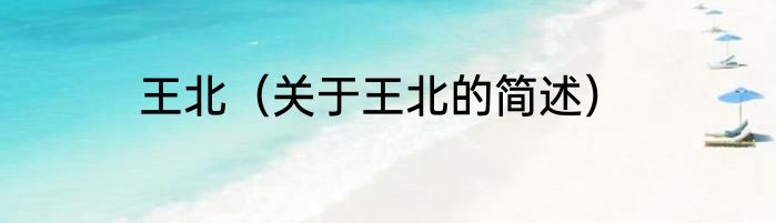 王北（关于王北的简述）