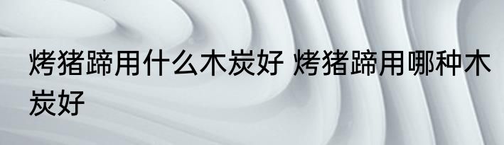 烤猪蹄用什么木炭好 烤猪蹄用哪种木炭好