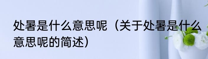 处暑是什么意思呢（关于处暑是什么意思呢的简述）