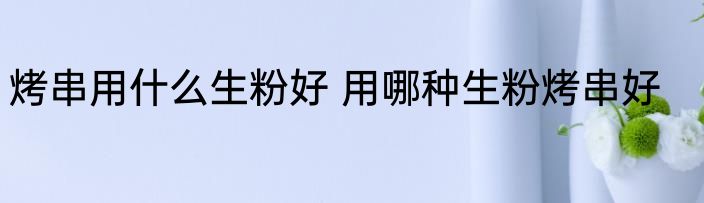 烤串用什么生粉好 用哪种生粉烤串好