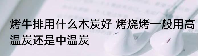 烤牛排用什么木炭好 烤烧烤一般用高温炭还是中温炭