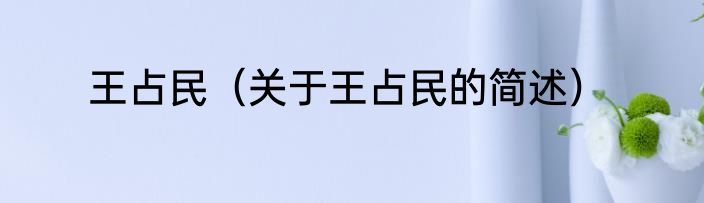 王占民（关于王占民的简述）