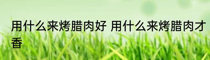 用什么来烤腊肉好 用什么来烤腊肉才香