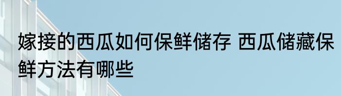 嫁接的西瓜如何保鲜储存 西瓜储藏保鲜方法有哪些