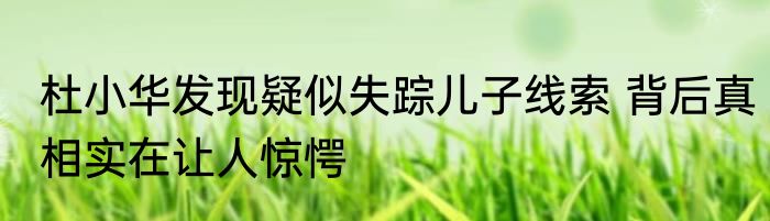 杜小华发现疑似失踪儿子线索 背后真相实在让人惊愕