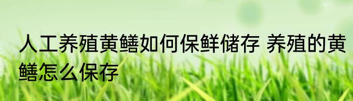 人工养殖黄鳝如何保鲜储存 养殖的黄鳝怎么保存