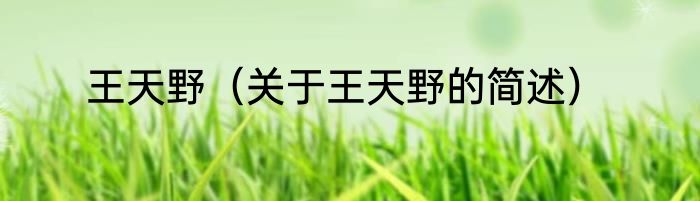 王天野（关于王天野的简述）