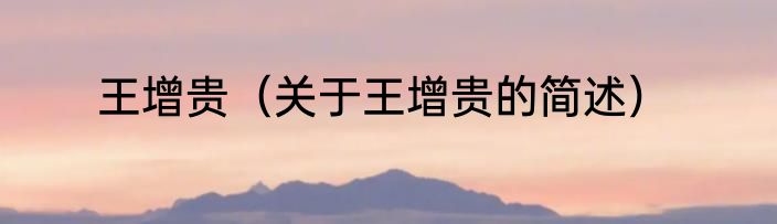 王增贵（关于王增贵的简述）