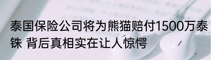 泰国保险公司将为熊猫赔付1500万泰铢 背后真相实在让人惊愕