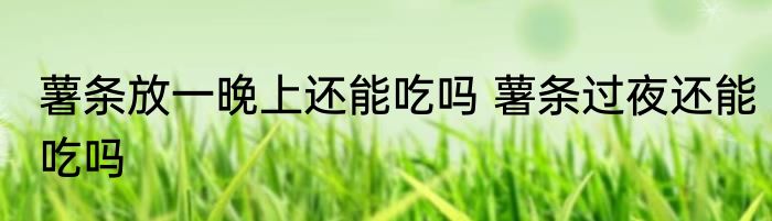 薯条放一晚上还能吃吗 薯条过夜还能吃吗
