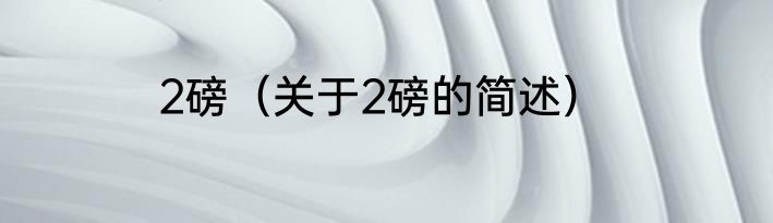 2磅（关于2磅的简述）