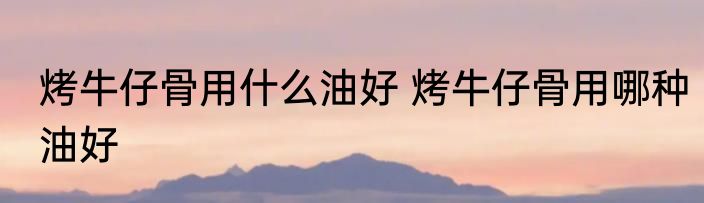 烤牛仔骨用什么油好 烤牛仔骨用哪种油好