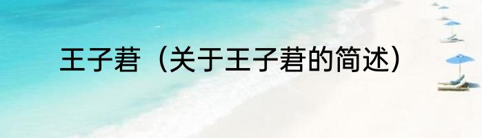 王子莙（关于王子莙的简述）