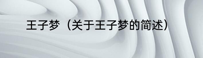 王子梦（关于王子梦的简述）