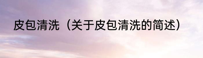 皮包清洗（关于皮包清洗的简述）