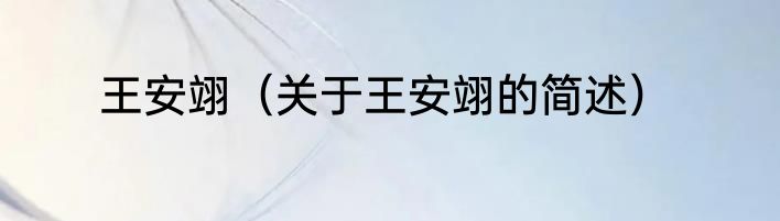王安翊（关于王安翊的简述）