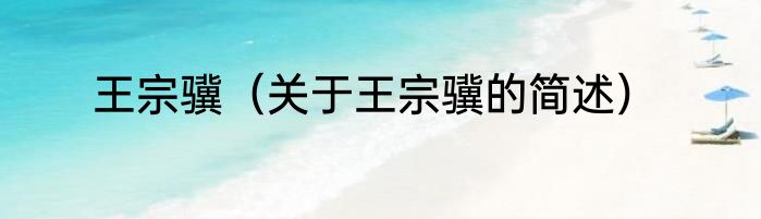 王宗骥（关于王宗骥的简述）