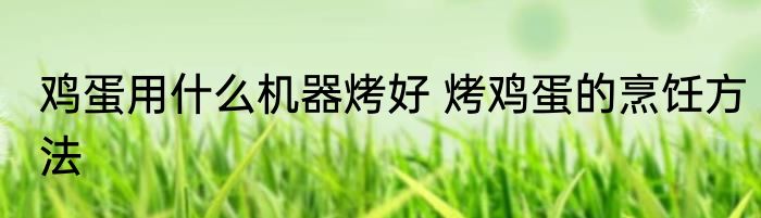鸡蛋用什么机器烤好 烤鸡蛋的烹饪方法