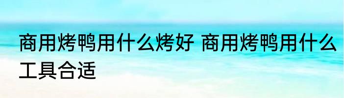 商用烤鸭用什么烤好 商用烤鸭用什么工具合适