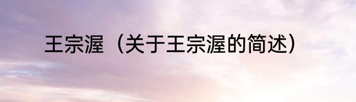 王宗渥（关于王宗渥的简述）