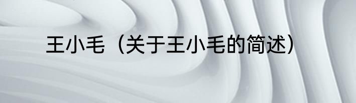 王小毛（关于王小毛的简述）