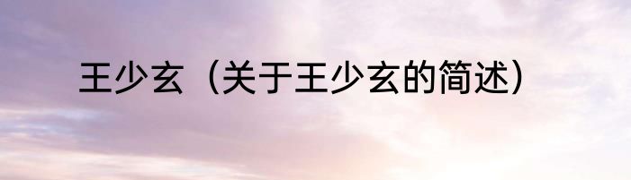 王少玄（关于王少玄的简述）