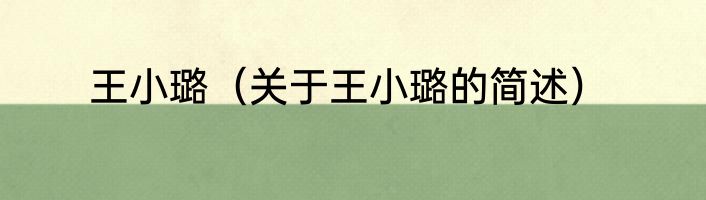 王小璐（关于王小璐的简述）