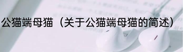 公猫端母猫（关于公猫端母猫的简述）