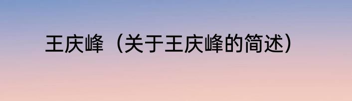 王庆峰（关于王庆峰的简述）