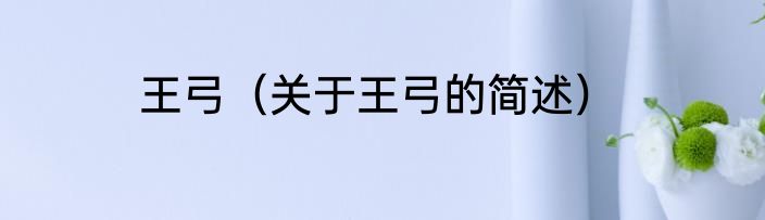 王弓（关于王弓的简述）