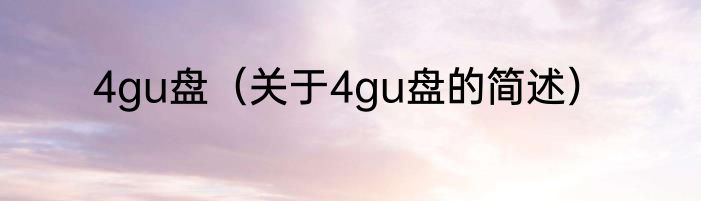 4gu盘（关于4gu盘的简述）