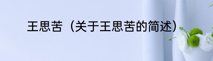 王思苦（关于王思苦的简述）