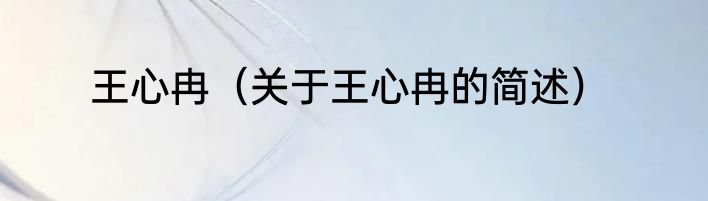王心冉（关于王心冉的简述）