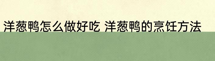 洋葱鸭怎么做好吃 洋葱鸭的烹饪方法