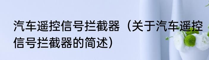 汽车遥控信号拦截器（关于汽车遥控信号拦截器的简述）