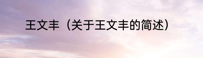 王文丰（关于王文丰的简述）