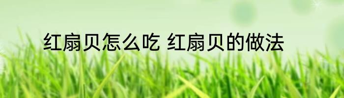红扇贝怎么吃 红扇贝的做法
