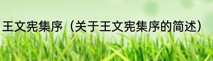 王文宪集序（关于王文宪集序的简述）